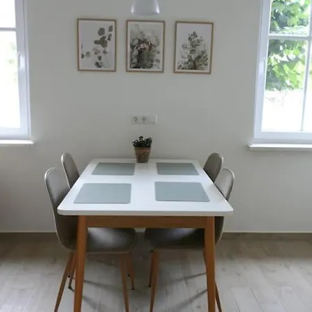 Sieben Eulen In Apartment