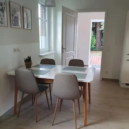 Sieben Eulen In Apartment