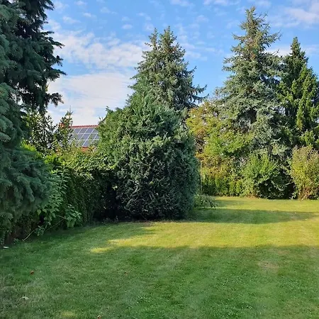 Sieben Eulen In * Garrey