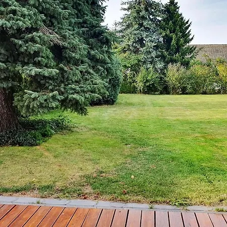 Sieben Eulen In Apartment