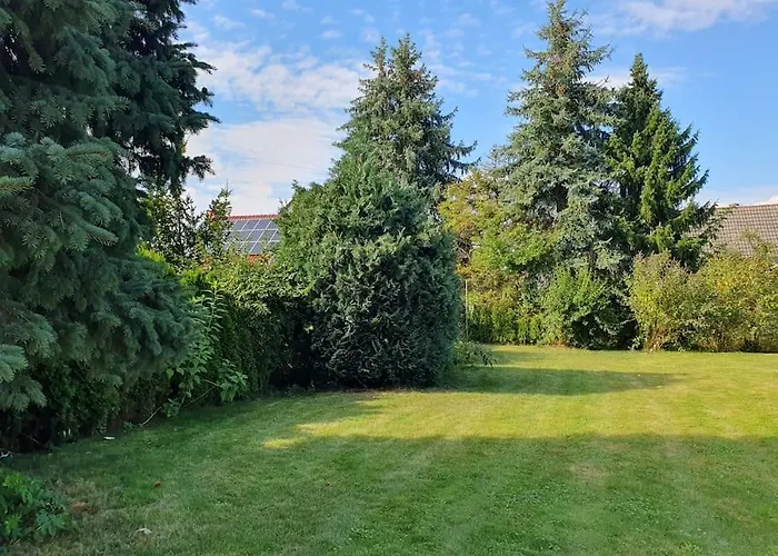 Sieben Eulen In * Garrey